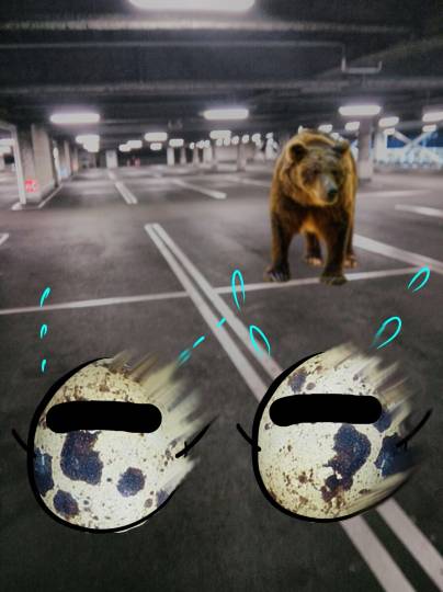 つぶやきコーナー　その44