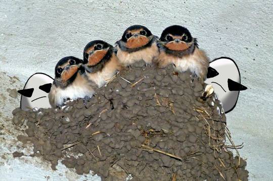 生き物ルーム第8段(^o^)