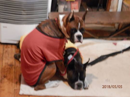 生き物ルーム第8段(^o^)