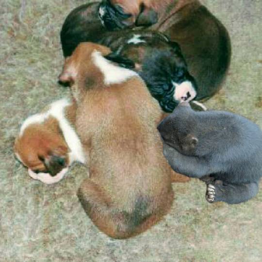 生き物ルーム第8段(^o^)