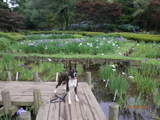 生き物ルーム第8段(^o^)