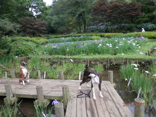 生き物ルーム第8段(^o^)