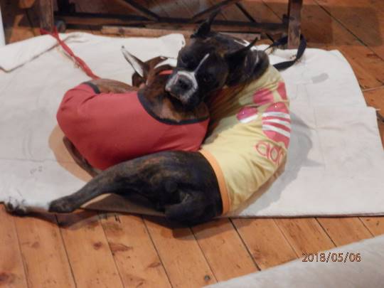 生き物ルーム第8段(^o^)