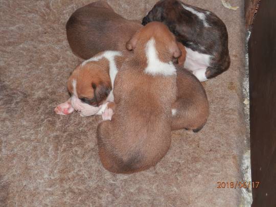 生き物ルーム第8段(^o^)