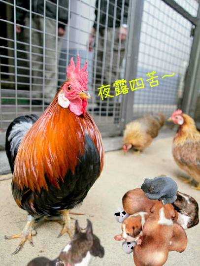 生き物ルーム第8段(^o^)