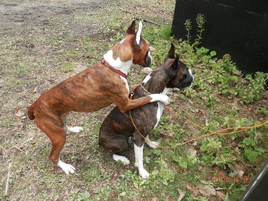 生き物ルーム第8段(^o^)