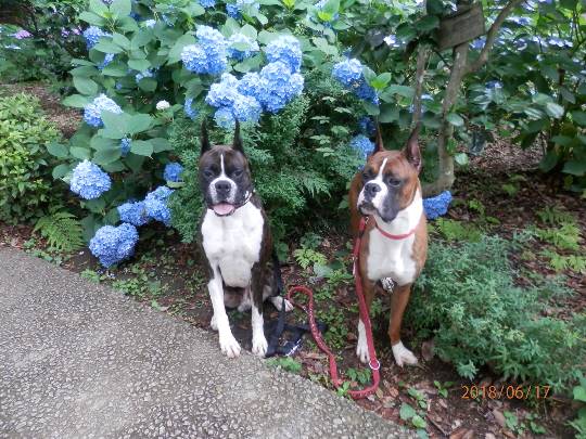 生き物ルーム第8段(^o^)