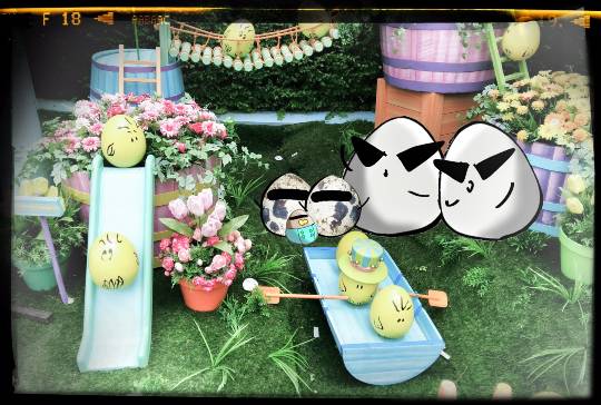 生き物ルーム第8段(^o^)