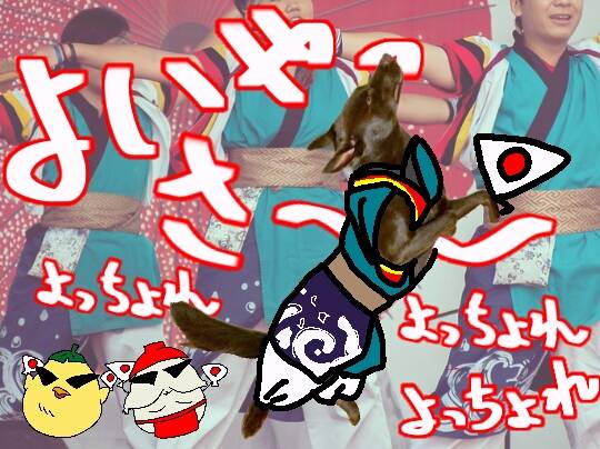 生き物ルーム第8段(^o^)