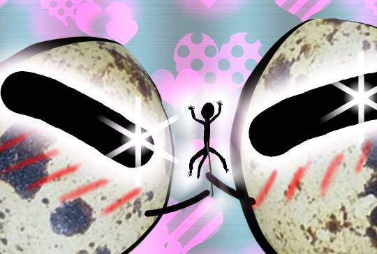 生き物ルーム第8段(^o^)