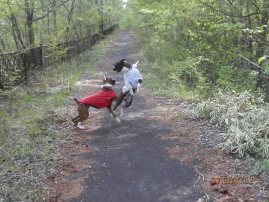 生き物ルーム第8段(^o^)