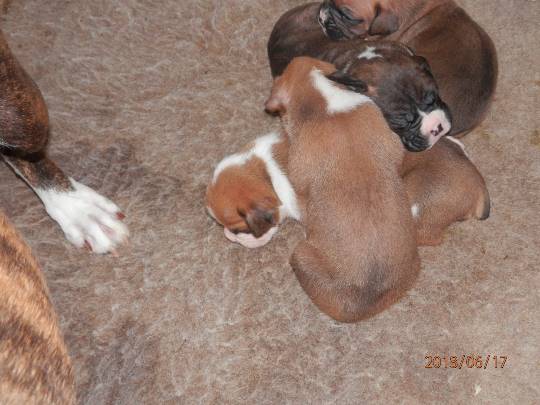 生き物ルーム第8段(^o^)