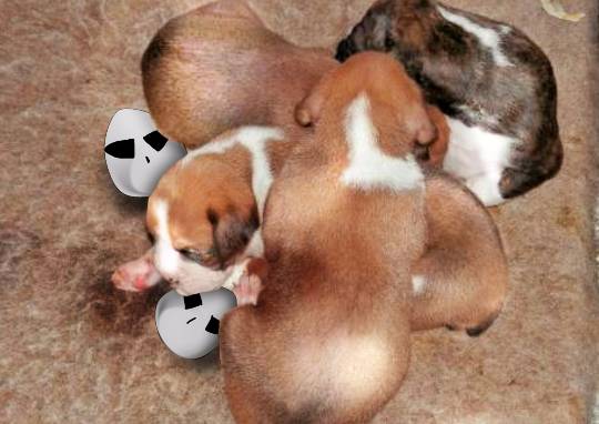 生き物ルーム第8段(^o^)