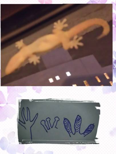 生き物ルーム第8段(^o^)