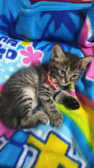 生き物ルーム第8段(^o^)