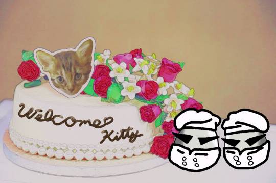 生き物ルーム第8段(^o^)