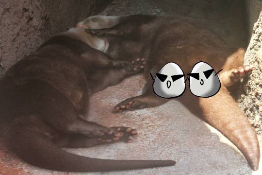 【妄想鼻血トピ】萌えドラマを語ろう会2