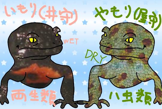 生き物ルーム第8段(^o^)