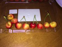 レイニアチェリー