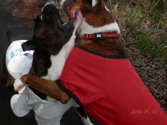 生き物ルーム第8段(^o^)