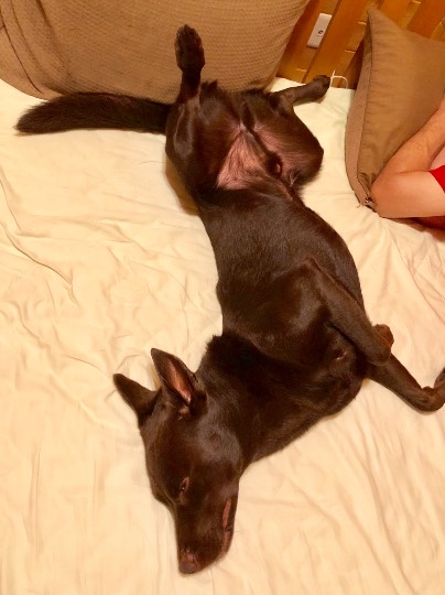 生き物ルーム第8段(^o^)