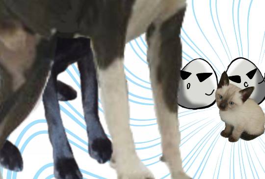 生き物ルーム第9ヽ(^○^)ノ