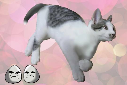 生き物ルーム第9ヽ(^○^)ノ