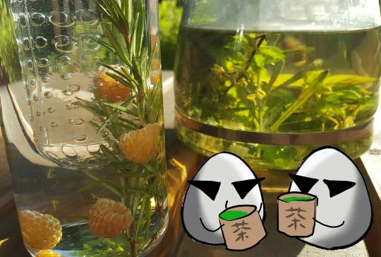 EGG'S CAFE支店『Wellness』 入院　通院　介護　持病...の情報交換と一息に