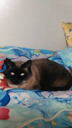 生き物ルーム第9ヽ(^○^)ノ