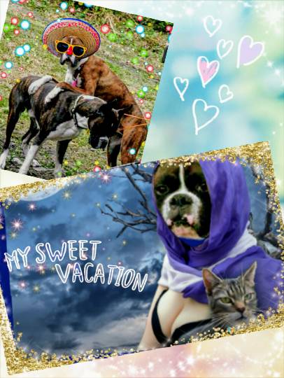 おめでとう～vol.10！愛調(オチョ)南関東連合、まだまだ走るわよ！