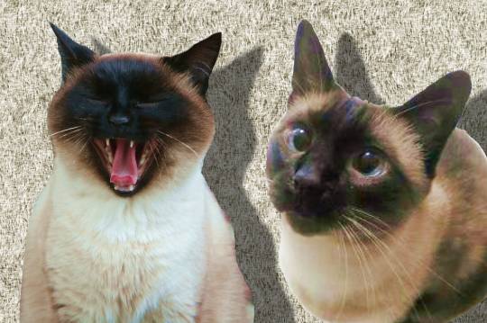 生き物ルーム第9ヽ(^○^)ノ