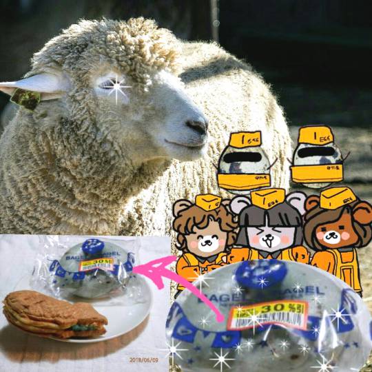 おめでとう～vol.10！愛調(オチョ)南関東連合、まだまだ走るわよ！