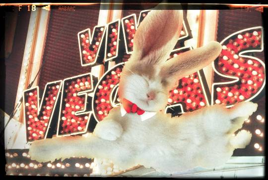 生き物ルーム第9ヽ(^○^)ノ