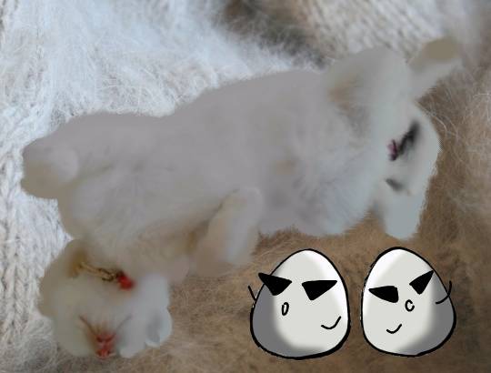 生き物ルーム第9ヽ(^○^)ノ