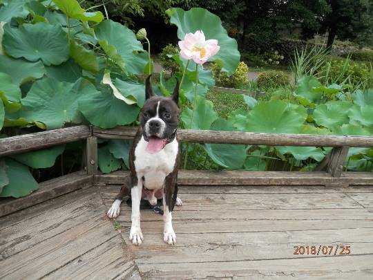 生き物ルーム第9ヽ(^○^)ノ