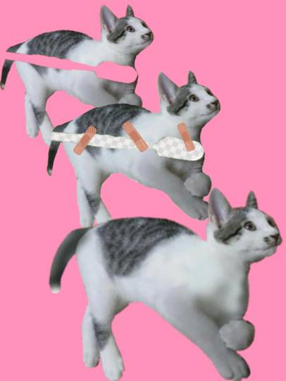 生き物ルーム第9ヽ(^○^)ノ