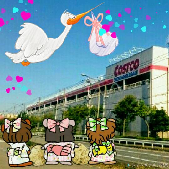 生き物ルーム第9ヽ(^○^)ノ