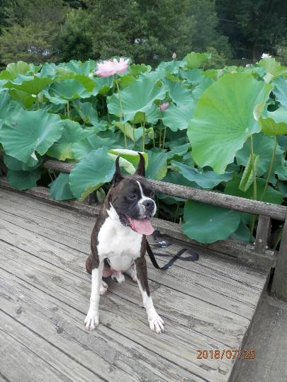 生き物ルーム第9ヽ(^○^)ノ