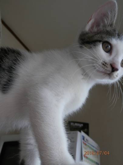 生き物ルーム第8段(^o^)