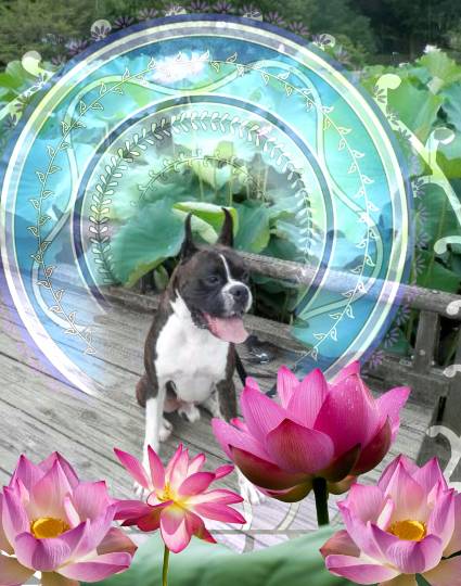 生き物ルーム第9ヽ(^○^)ノ