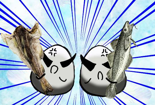 生き物ルーム第9ヽ(^○^)ノ