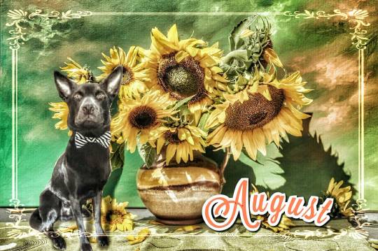 生き物ルーム第9ヽ(^○^)ノ