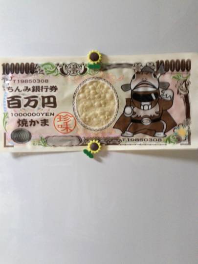 生き物ルーム第9ヽ(^○^)ノ