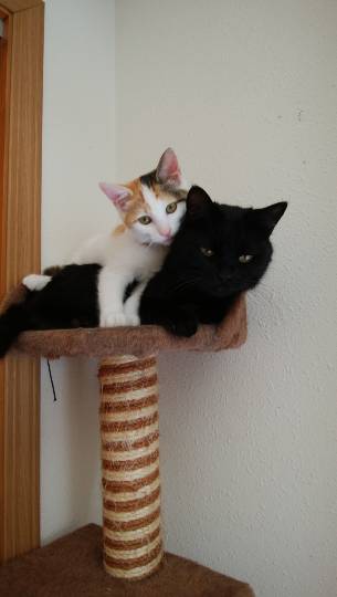 生き物ルーム第9ヽ(^○^)ノ