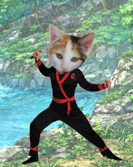 生き物ルーム第9ヽ(^○^)ノ