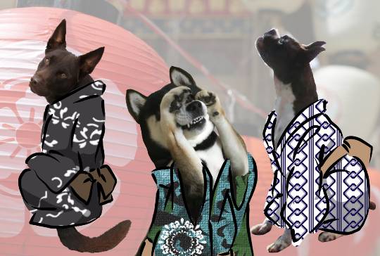 生き物ルーム第9ヽ(^○^)ノ