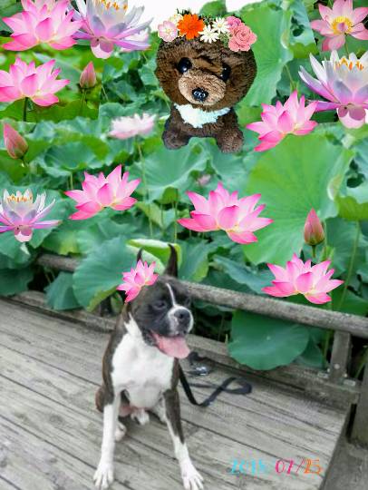 生き物ルーム第9ヽ(^○^)ノ