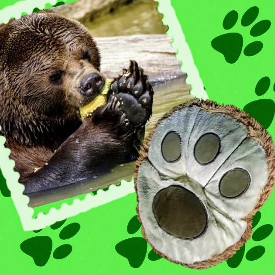 おめでとう～vol.10！愛調(オチョ)南関東連合、まだまだ走るわよ！