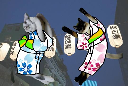 生き物ルーム第9ヽ(^○^)ノ