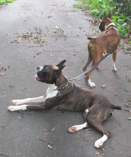 生き物ルーム第9ヽ(^○^)ノ